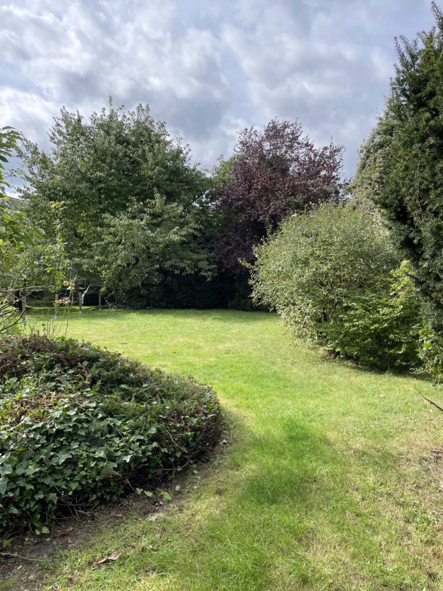 Entire House, Quiet City Location, Garden, Parking Bielefeld Exteriör bild